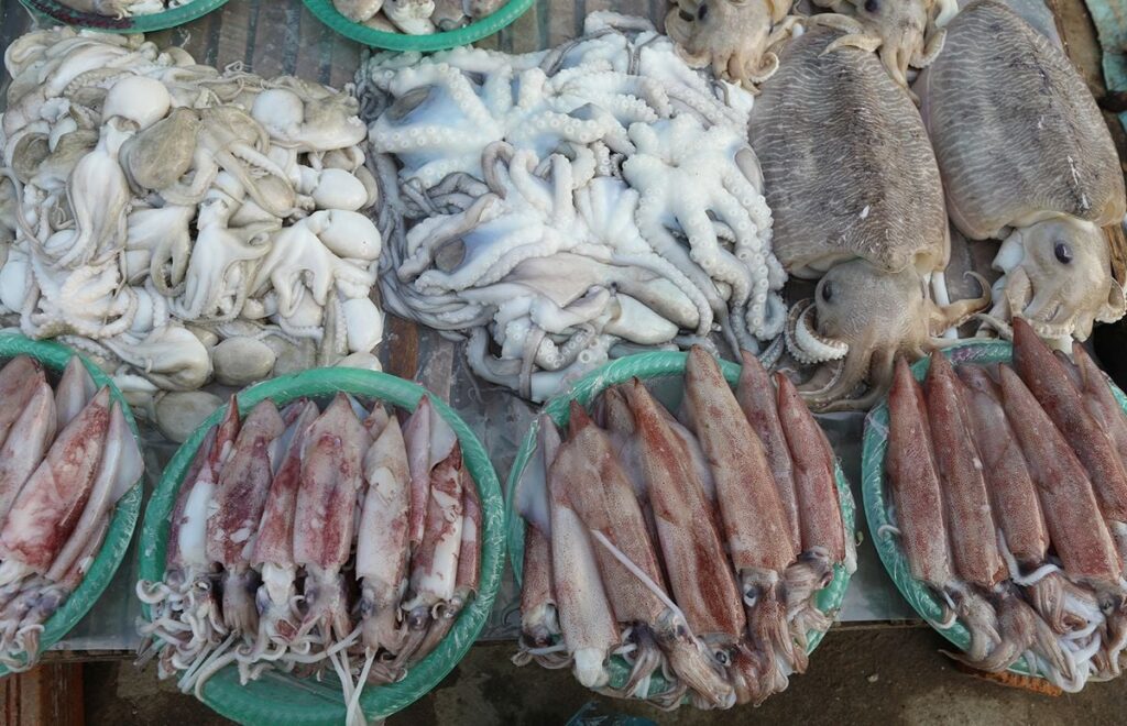 hải sản tươi sống hải phòng