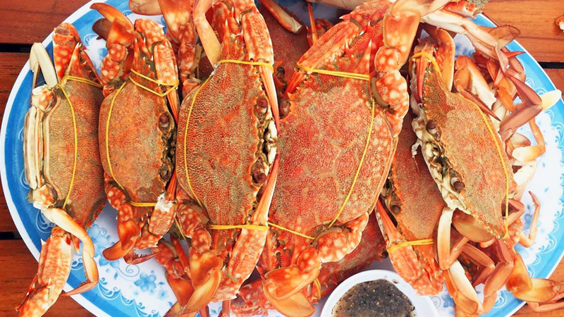 cua hải phòng